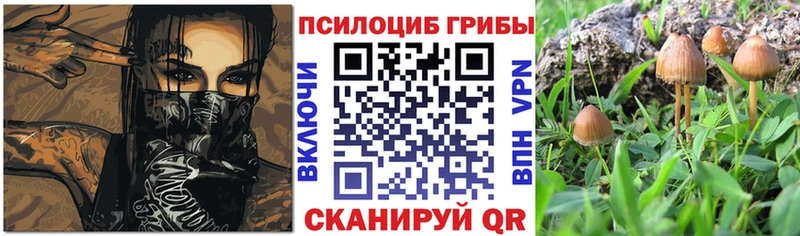Псилоцибиновые грибы мухоморы Судогда